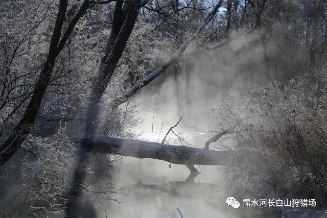 燃烧吧大脑装瓶子游戏