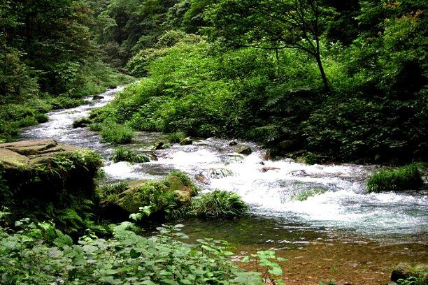 A股药明康德跌停，公司就“美国生物安全法草案”发布澄清公告