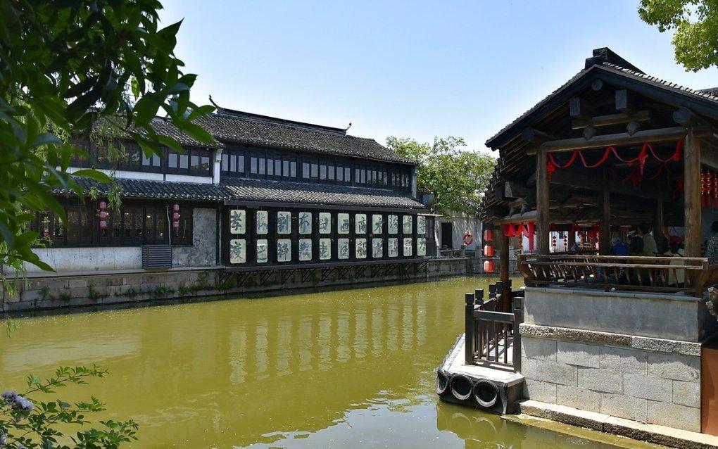 《可怜的东西》：重塑弗兰肯斯坦，女性觉醒的奇幻之旅
